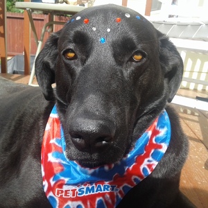 Fundraising Page: Michelle Dubois